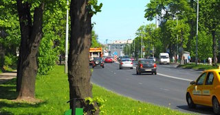 Посадка деревьев и кустарников в Старой Руссе — стоимость от 1223 руб.